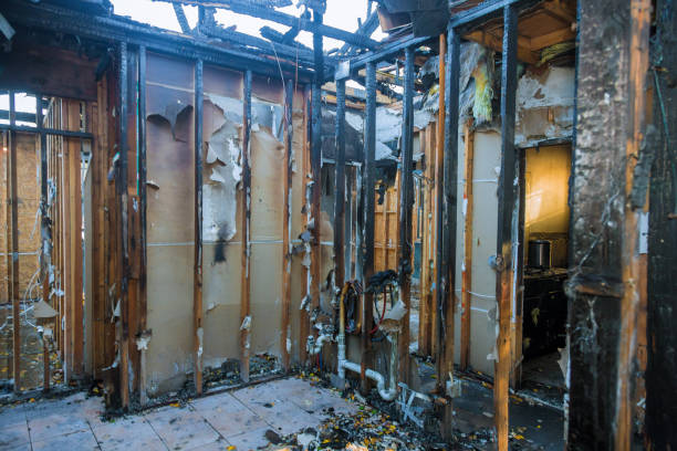 Professional Fire Damage Repair technician working in Stanwood, WA